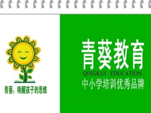 上合小學(xué)午托班托管中心 深圳嬰幼兒教育與課后輔導(dǎo)的一站式選擇